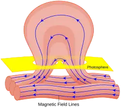 Diagram of the magnetic-field structure of a solar flare and its origin, inferred to result from the deformation of such a magnetic structure linking the solar interior with the solar atmosphere up through the corona.