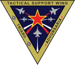 Tactical Support Wing Insignia