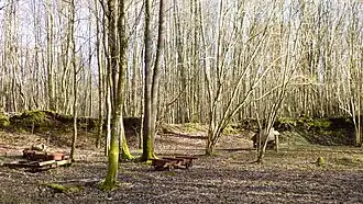 Minecart and draisine display, surrounded by truncated slag mounds showing their layers