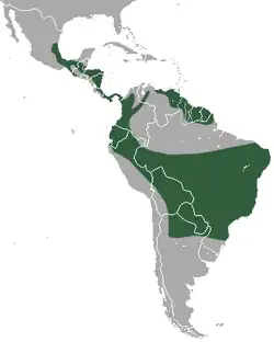 A map of South America and parts of North America with portions colored in to represent the range of the common tapeti
