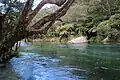 Upper Tarawera River.