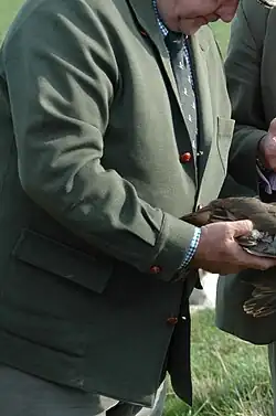 An olive wool Teba with leather buttons in a bird hunt in Suffolk, England.