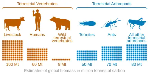 Image 12Biomass distribution of humans, livestock, and other animals (from Livestock)