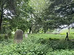 An old, overgrown graveyard