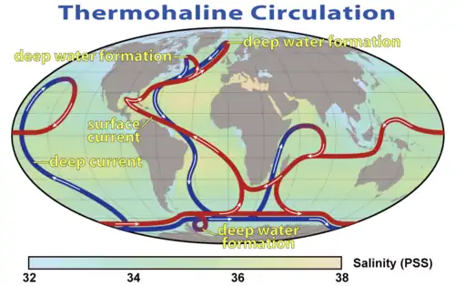 World map with colored, directed lines showing how water moves through the oceans. Cold deep water rises and warms in the central Pacific and in the Indian, whereas warm water sinks and cools near Greenland in the North Atlantic and near Antarctica in the South Atlantic.