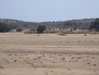 Looking across the Shashe River near Tuli village, Zimbabwe