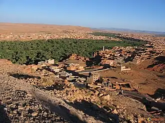 Long belt of trees, with small city at its edge