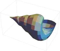 graphics complex of a seashell with toon shading modeled in Mathematica 13.1