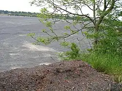 Infilled Tuthill Quarry