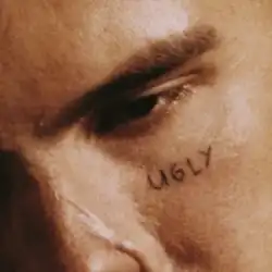 A closeup photo of Slowthai's left eye with the album title written on his cheek right below.
