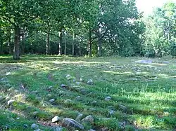 Stone and turf labyrinths (Bohuslän, Sweden)