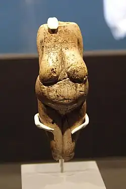25,000-year-old Venus from Kostenki, Russia
