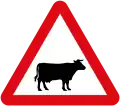 Animals (Cattle)