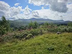 Cader Idris mountain from the ancient Nannau Deer Park