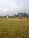 Cricket players