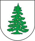 Coat of arms of Tannenbergsthal