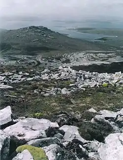 Massive stone runs in the foothills of Circum Peak; southeast view from Mount Weddell
