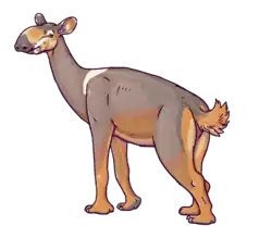 Xenorhinotherium bahiense