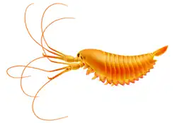 Life restoration of Yawunik