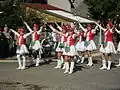 Majorette dancers in Zichyújfalu