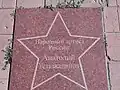 "Звезда - Анатолий Устюжанинов" на аллеи Славы.