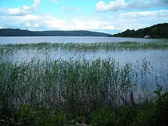 Фото 2014 года