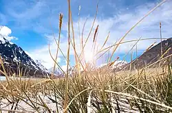 Дюны на берегу реки Аккол