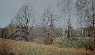 На месте бывшего фольварка Окопы