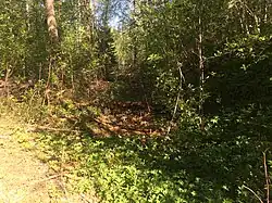 Бывшая карьерная ветка.