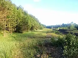 Разобранные боковые пути. Вид в сторону Янисъярви.