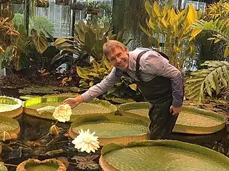 А. А. Ретеюм с викторией Longwood Hybrid