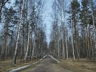 Одна из аллей парка весной