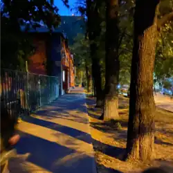 Благоустроенная аллея возле сквера