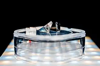 Алмазная мишень и остатки первоначального алмаза «Валентина Терешкова»