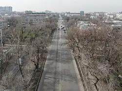 Вид на улицу в западном направлении от пересечения с улицей Пушкина