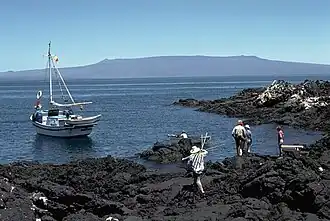 Окрестности вулкана Альседо. Снимок Смитсоновского института (1978 г.).