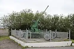 Артиллерийское орудие