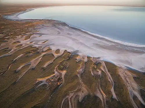 Природный парк «Эльтонский». Берег озера Эльтон с высоты птичьего полёта