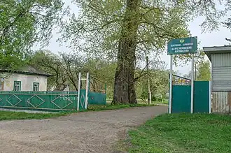 Березнянское лесничество