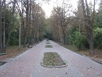 Центральная аллея парка (сентябрь 2009 года)