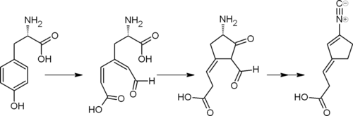 Схема пути биосинтеза диен-изоцианида из тирозина