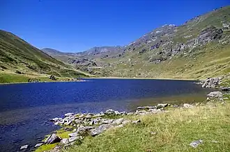 Боговинское озеро в 2016 году