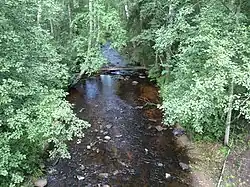 Вид по течению