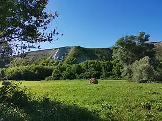Общий вид на Урочище Борки