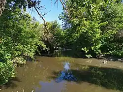 В селе Борки