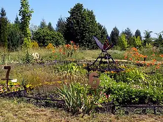 Цветочные часы