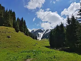 Бутаковское ущелье весной