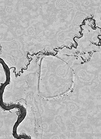 Бушевское городище на спутниковой съёмке 1981 года