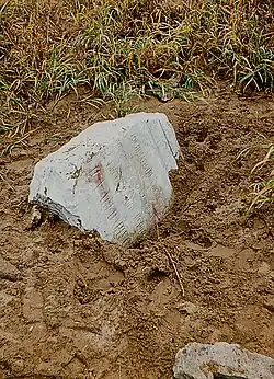 Бывшая могила П.А. Авенариуса