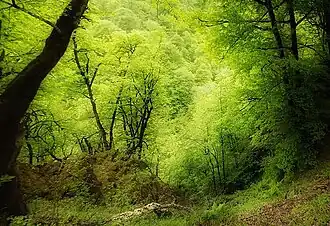 Окрестности села